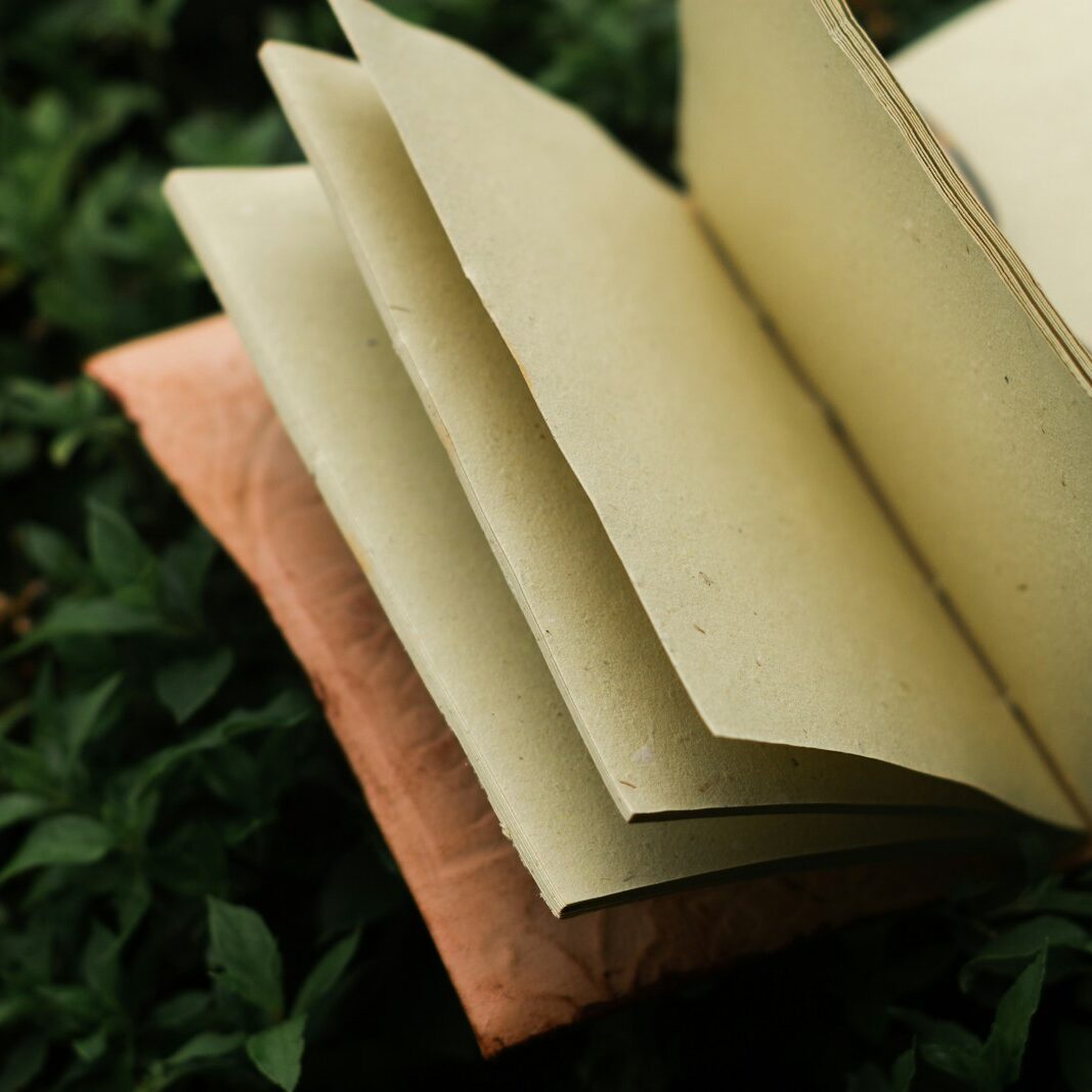 beige blank book